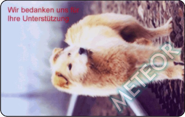 tierrettung_0001_rs